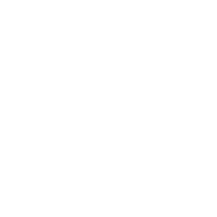 icona cultura