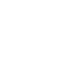 icona lingua